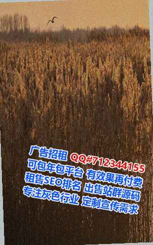 修武IVF医疗器材公司